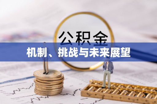 点军机制、挑战与未来展望